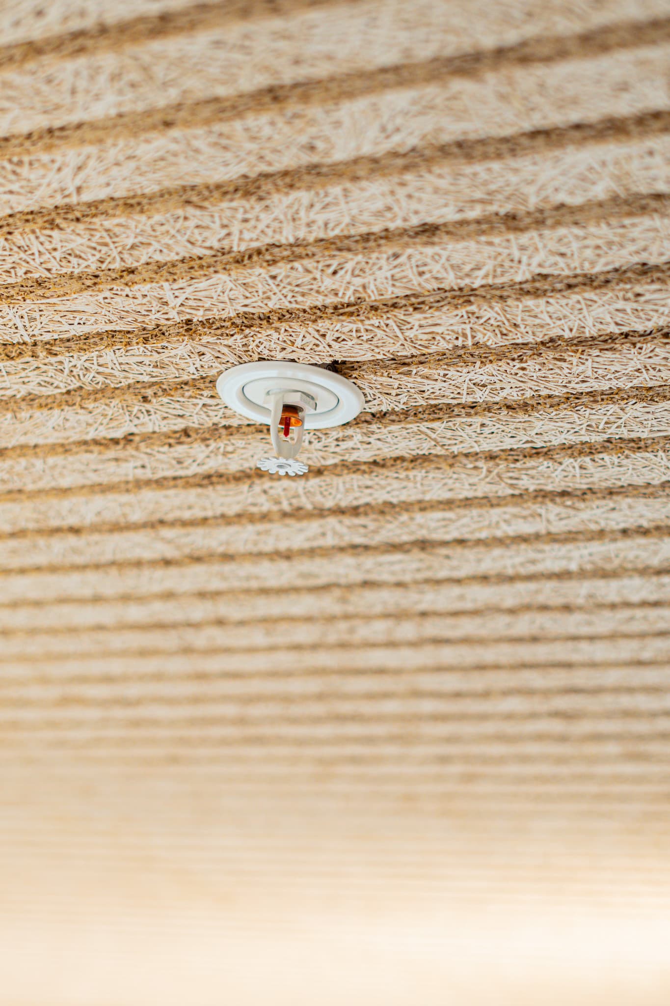 attentio – fotografi